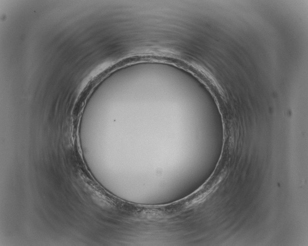 X0000083580974200702231651