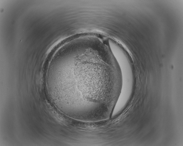 X0000083580975200702231651