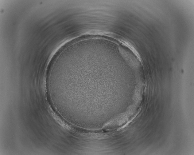 X0000083580976200702231651