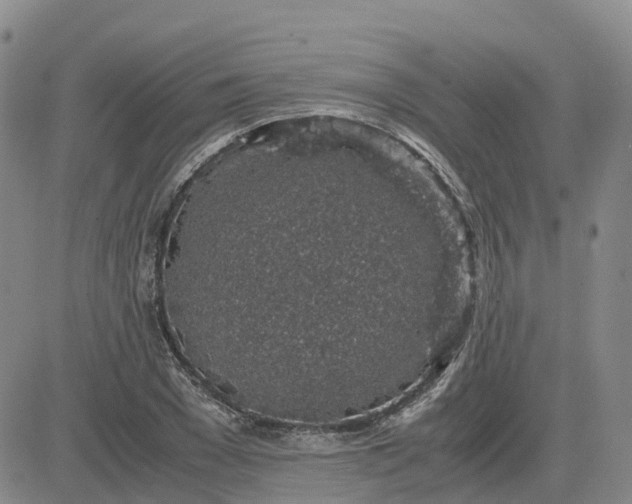 X0000083580977200702231651