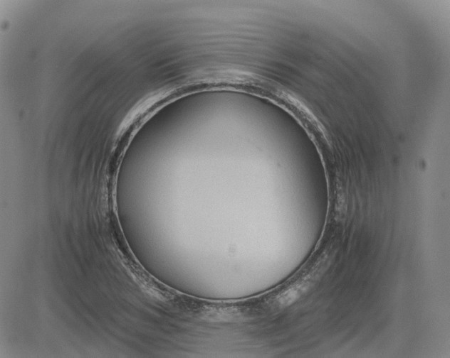 X0000083580978200702231651