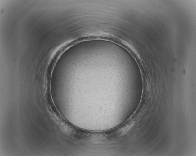 X0000083580979200702231651