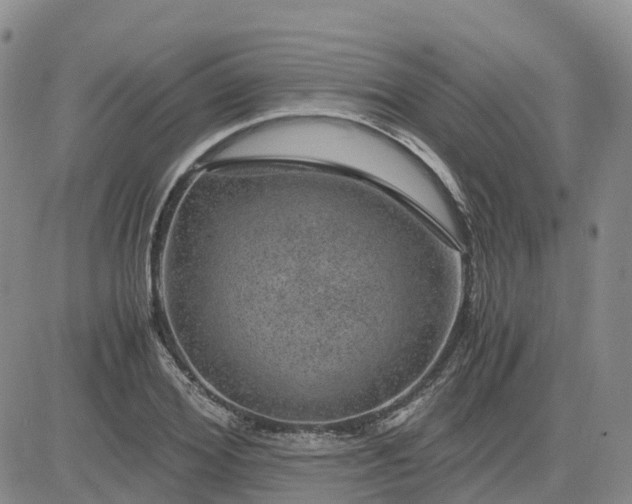 X0000083580980200702231651