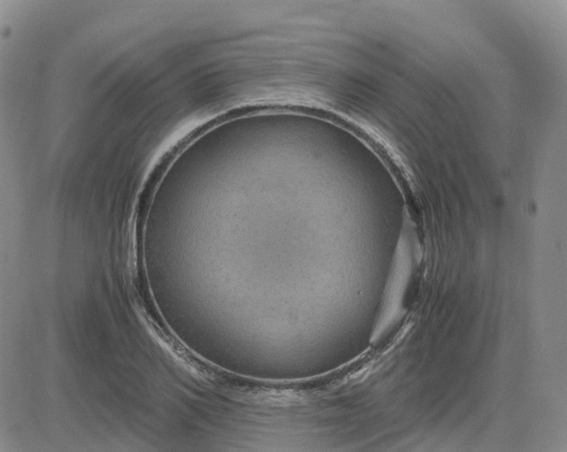 X0000083580982200702231651