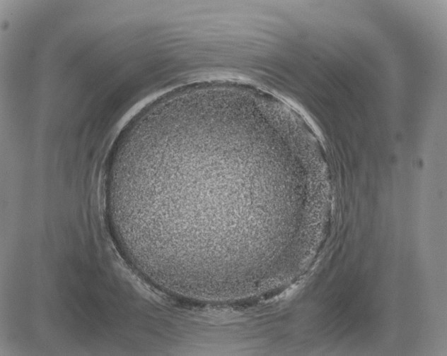 X0000083580983200702231651