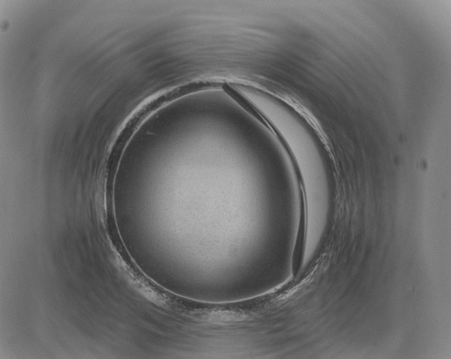 X0000083580984200702231651