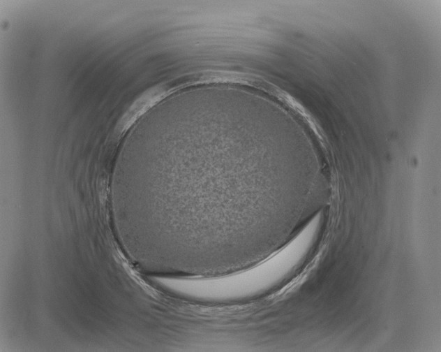 X0000083580985200702231651