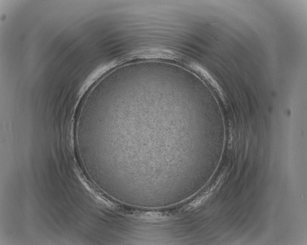 X0000083580986200702231651