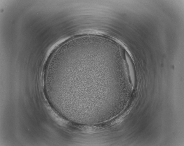 X0000083580987200702231651