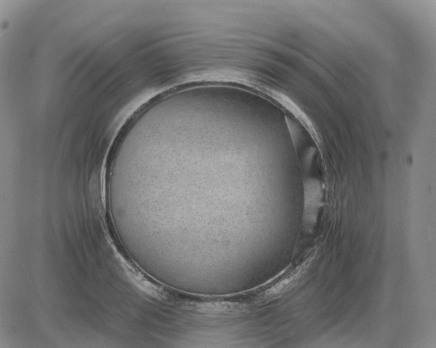 X0000083580988200702231651