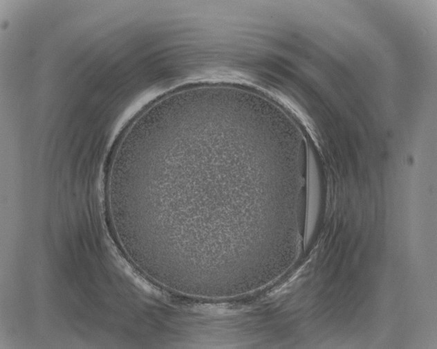 X0000083580990200702231651