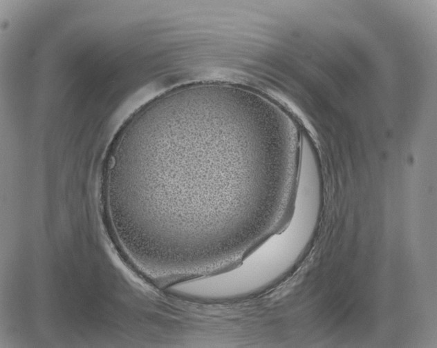 X0000083580991200702231651