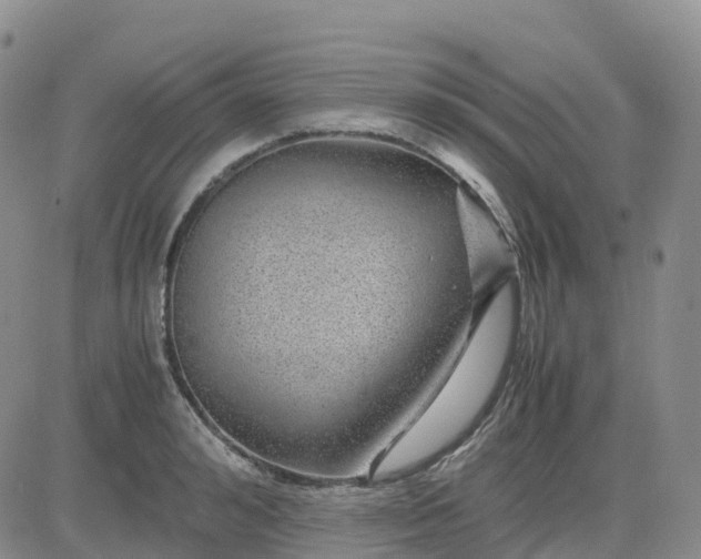 X0000083580992200702231650