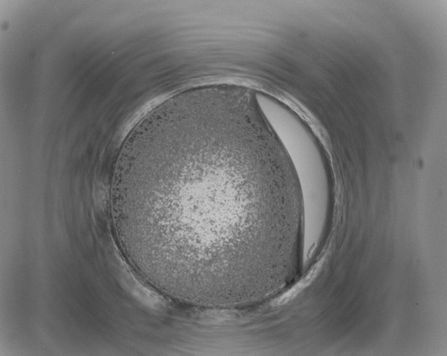 X0000083580993200702231650