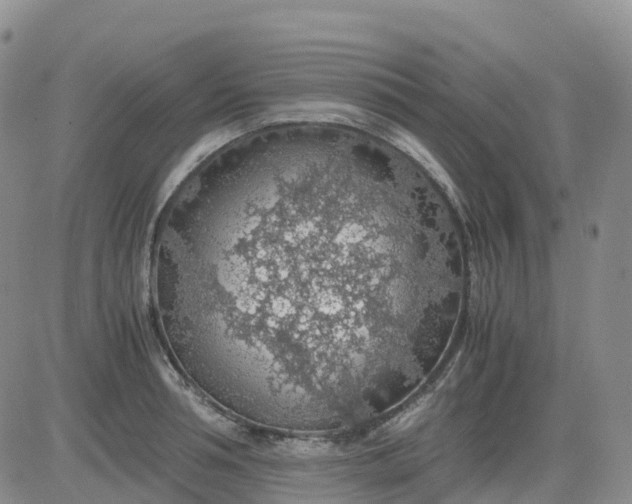 X0000083580994200702231650