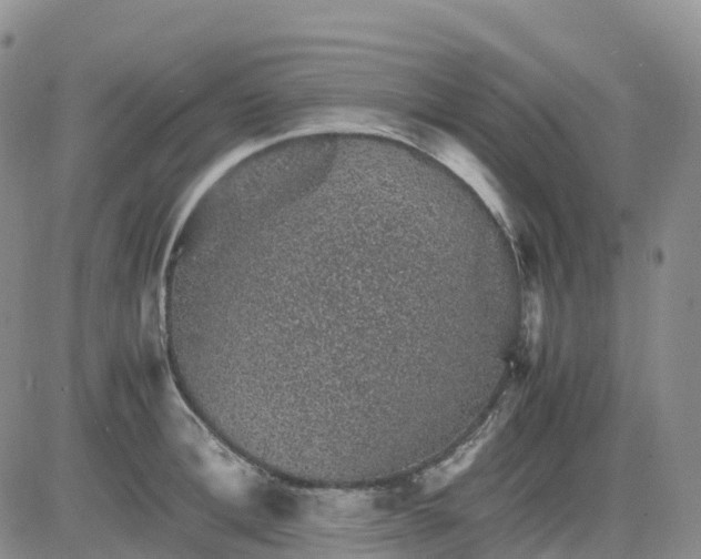 X0000083580996200702231650