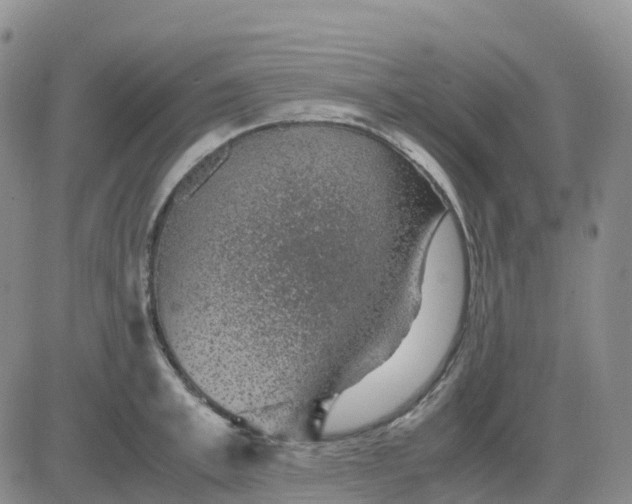 X0000083580997200702231650