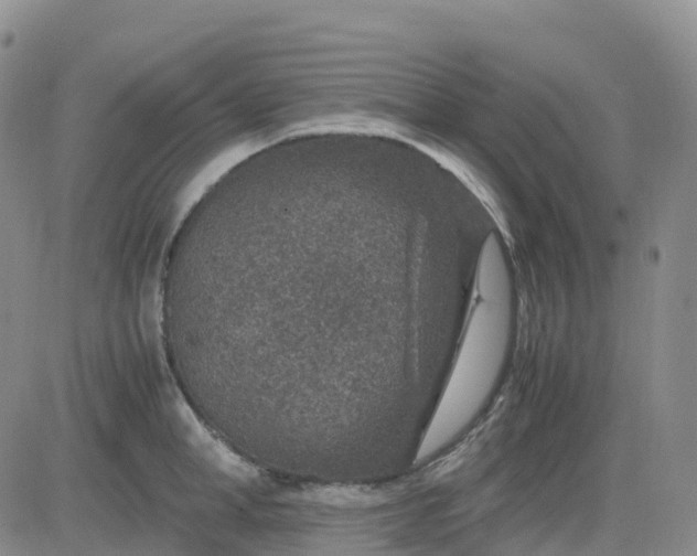 X0000083580998200702231650