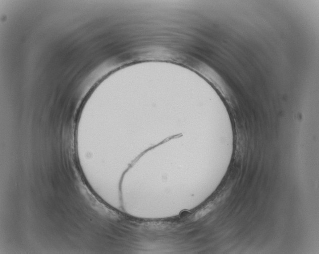 X0000083581000200702231650