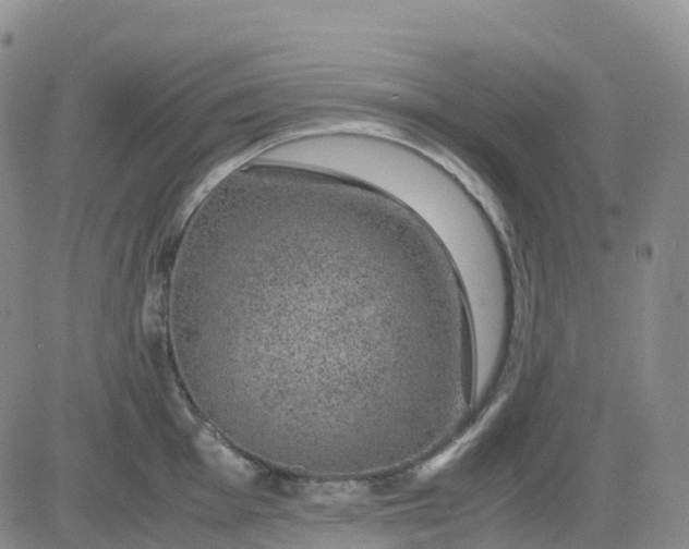 X0000083581001200702231650