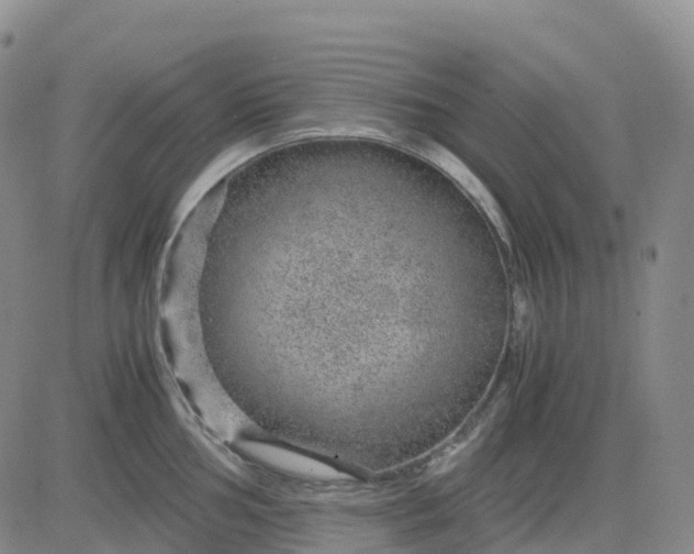 X0000083581002200702231650