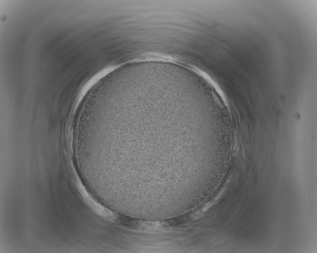 X0000083581003200702231650