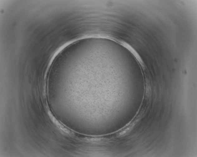 X0000083581004200702231650