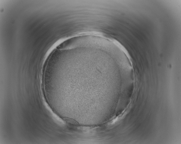 X0000083581005200702231650