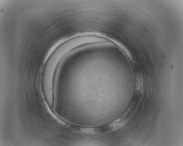 X0000083581006200702231650