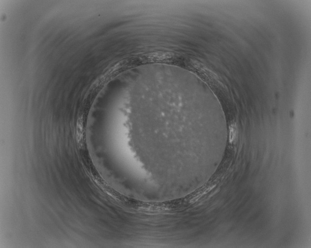 X0000083581011200702231649