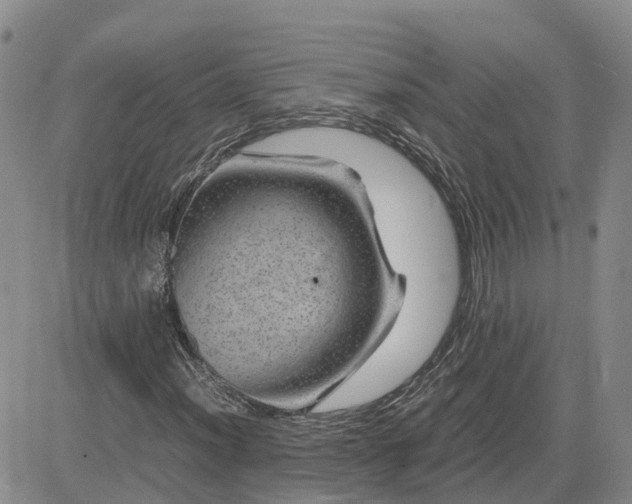 X0000083581012200702231649