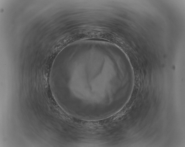 X0000083581013200702231650