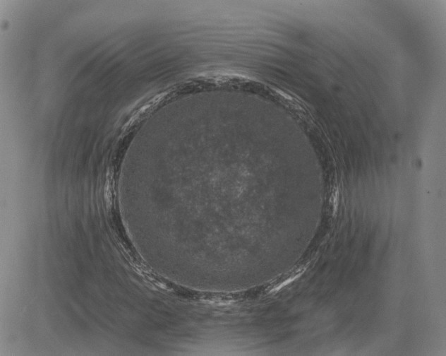 X0000083581014200702231650