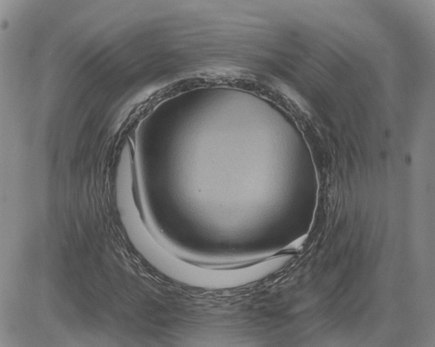 X0000083581016200702231650