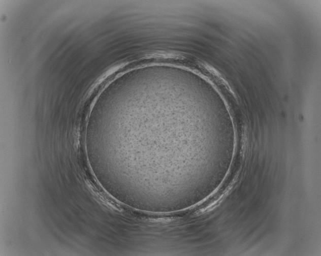 X0000083581017200702231650