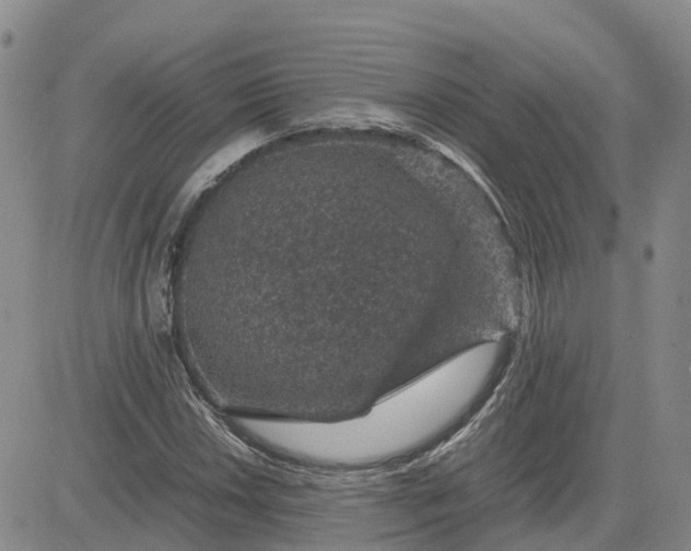 X0000083581018200702231650