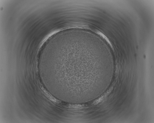 X0000083581019200702231650