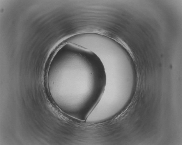 X0000083581020200702231650