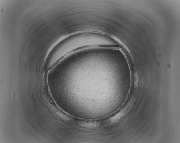 X0000083581021200702231650