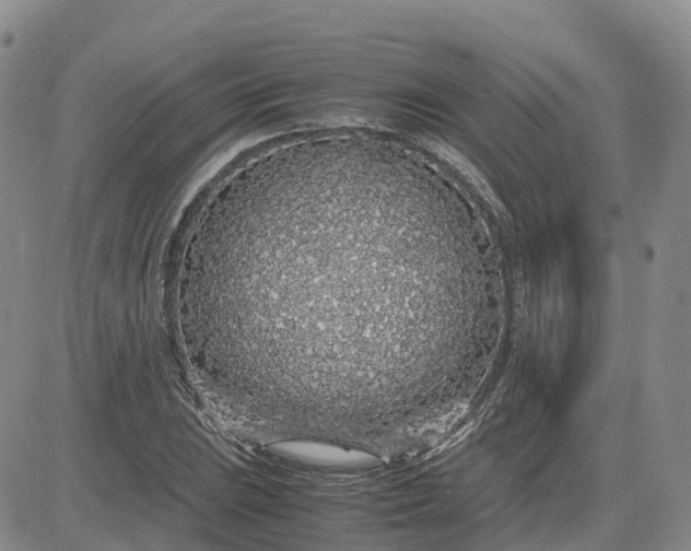 X0000083581023200702231650