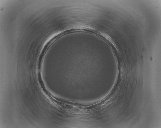 X0000083581024200702231650