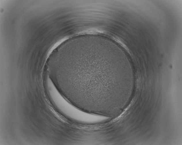 X0000083581026200702231650