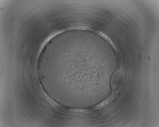 X0000083581027200702231650