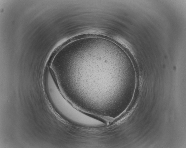 X0000083581029200702231650