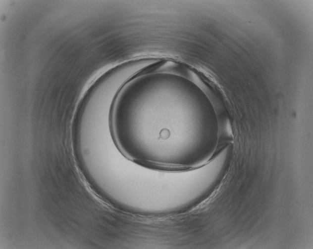 X0000083581030200702231650