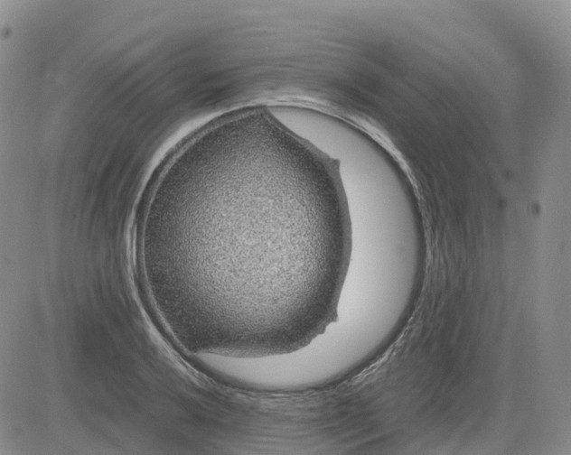 X0000083581032200702231650