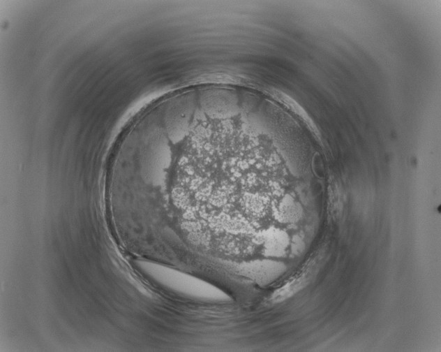 X0000083581035200702231650