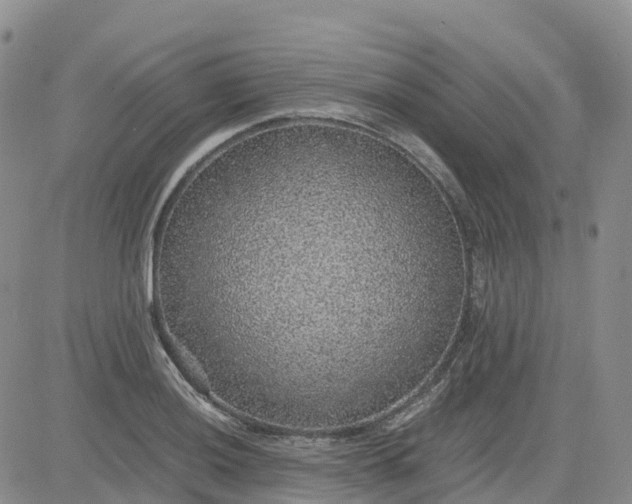 X0000083581036200702231650