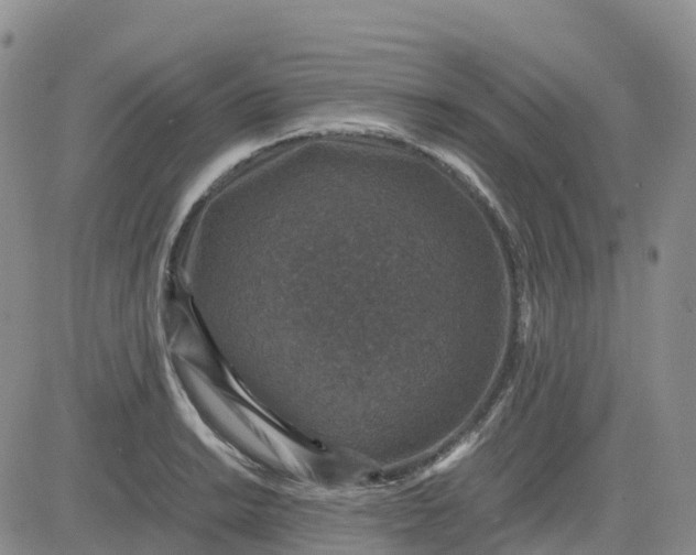 X0000083581038200702231650