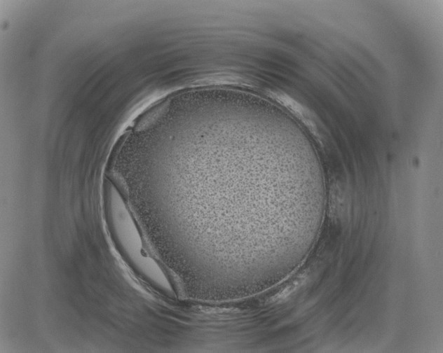 X0000083581039200702231650